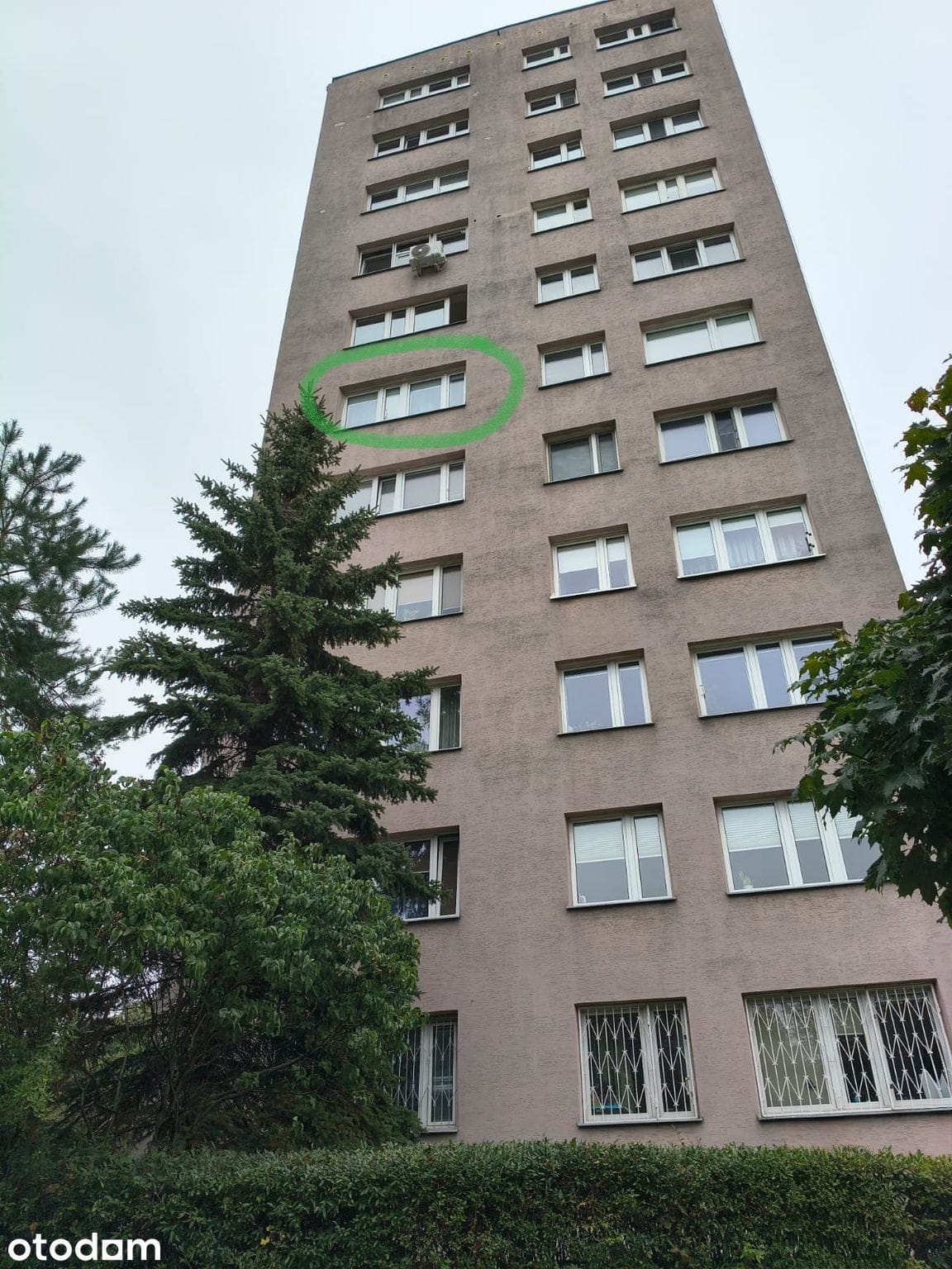Kawalerka · Oskara Langego