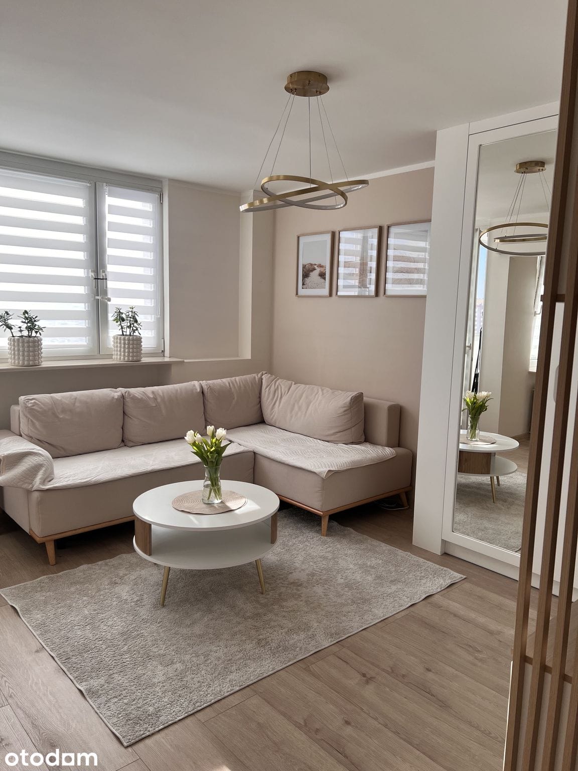 2 pokoje · Feliksa Pancera